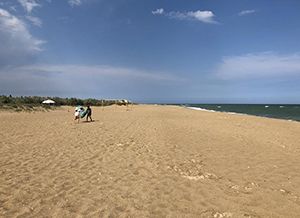 Пляж на Базе отдыха в Каролино-Бугазе