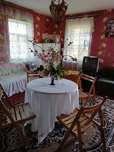 Степанівка 1 приватний сектор гостьовий будинок «Альбіна»