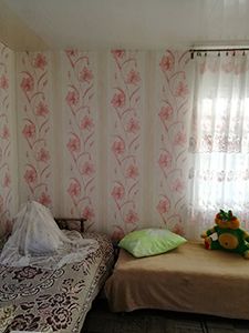 Степановка 1 частный сектор гостевой дом «Альбина»
