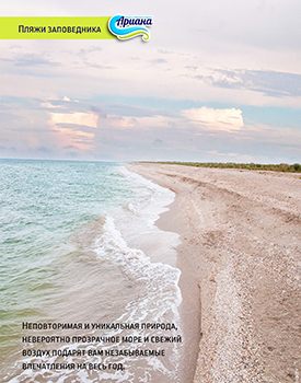 Кирилівка Бирючий острів пляж фото