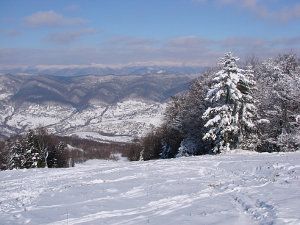 Покататися на лижах в Карпатах Красія