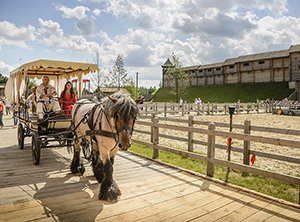 прогулки на лошадях по Парку Киевская Русь
