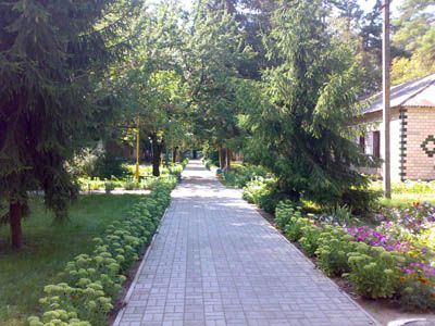 Отдых в Полтавской области, санаторий «Сосновый бор»