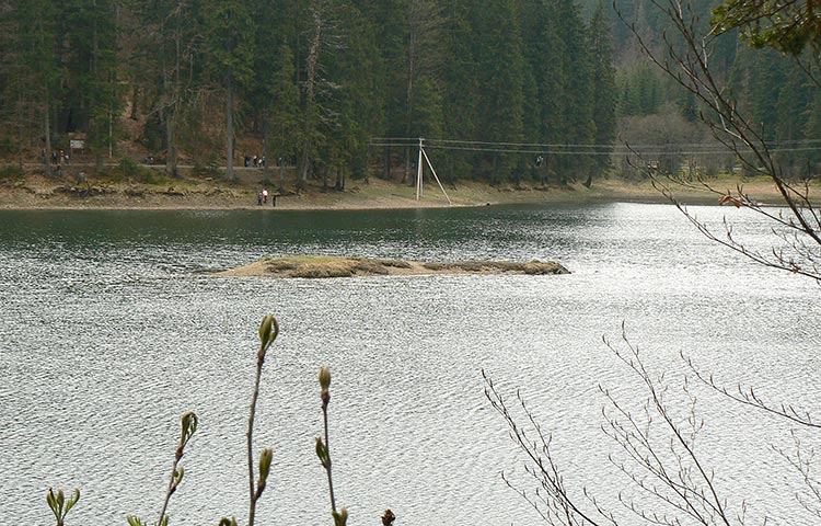 Синевир островок в центре озера фото