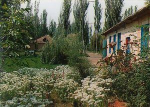 Дитячий табір «Мрія», село Піонерське