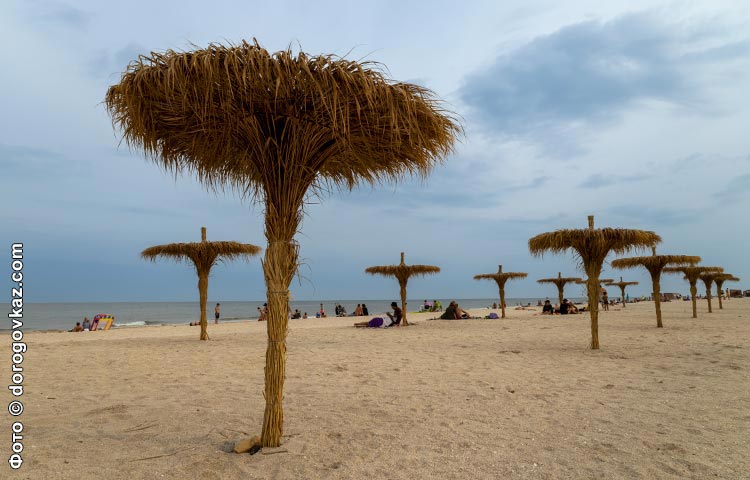 Азовское море пляжи фото