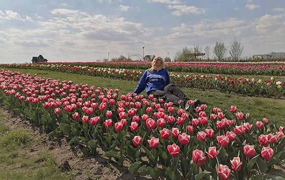 Киев тюльпанные поля Добропарк