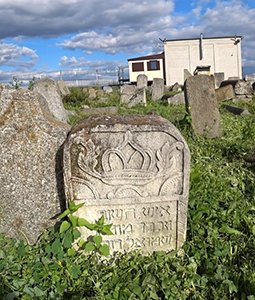Еврейское кладбище в Бердичеве фото
