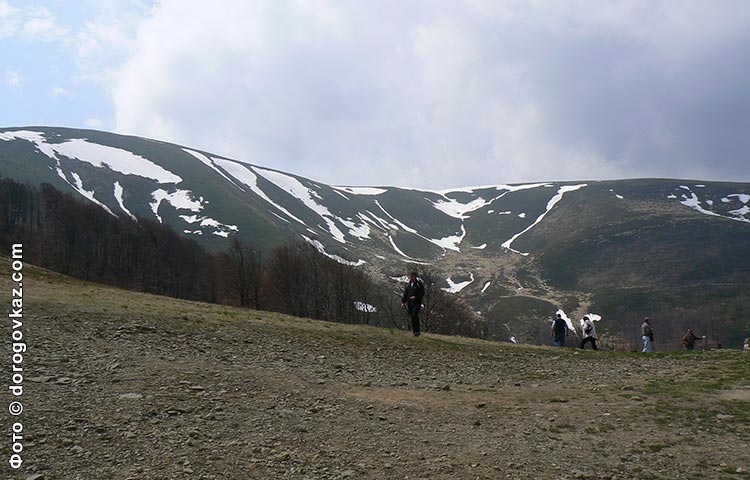 Карпаты горы снег весной фото