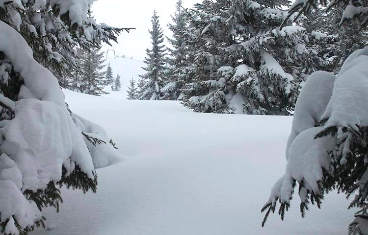 Зима в Карпатах фото