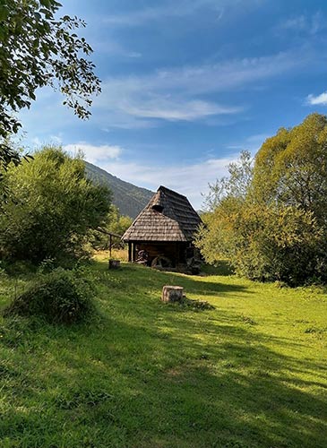 Колочава дом на территории музея Старое село фото