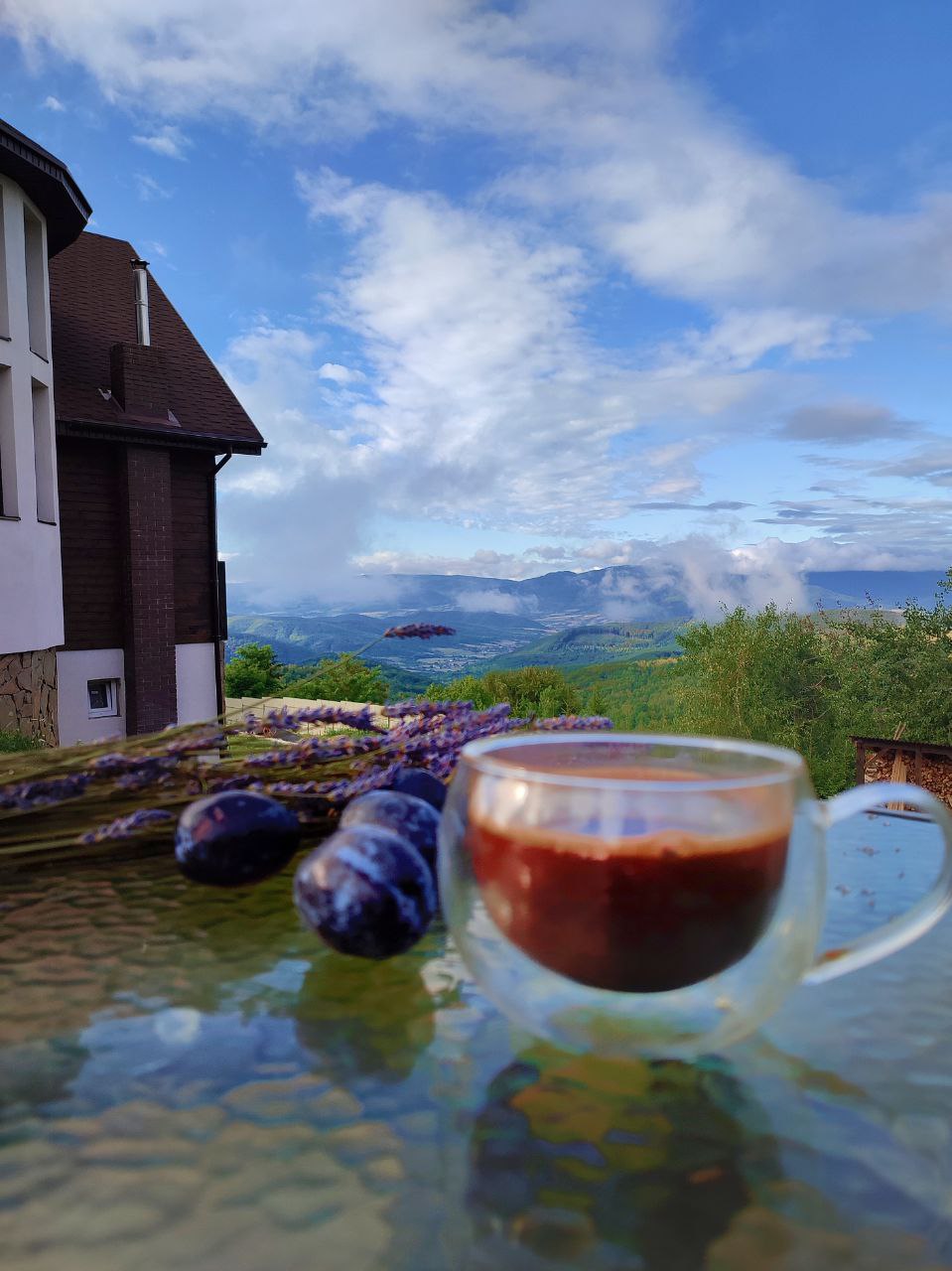 Коттедж «На воле» завтрак с видом на горы Карпат