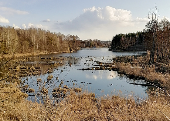 Озеро Кошара возле Киева
