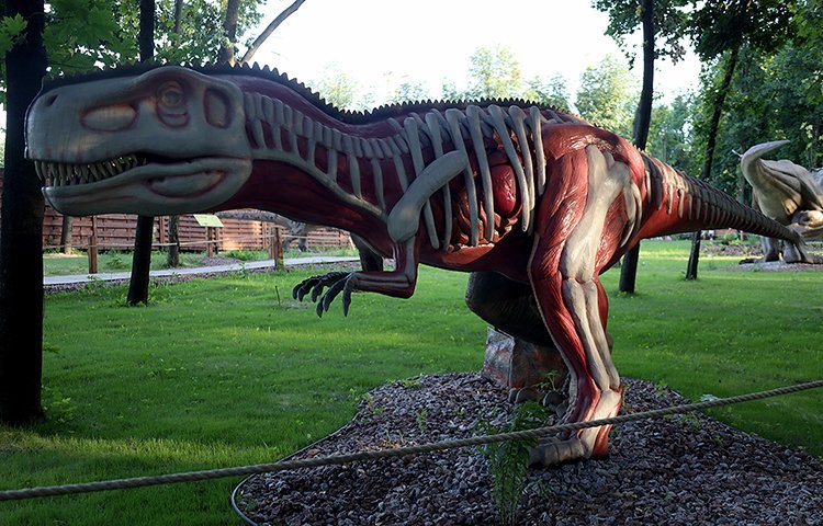 Парк динозаврів анатомічна будова тиранозавра