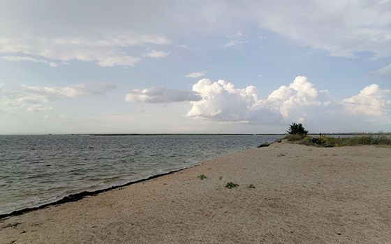 Бердянск пляж «На шпиле» фото