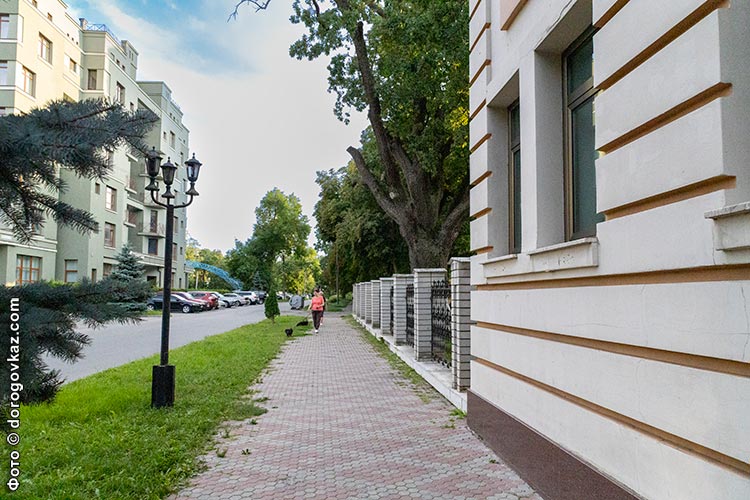 Дорога до найстарішого дуба Полтави по вулиці Садова фото