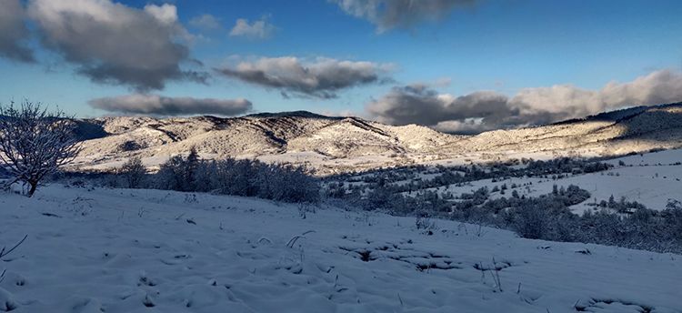 Зима в Закарпатье фото