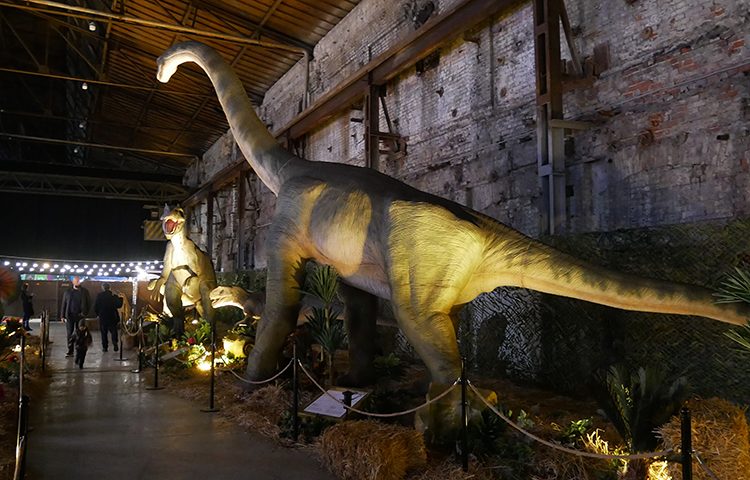 Выставка «Планета динозавров» фото