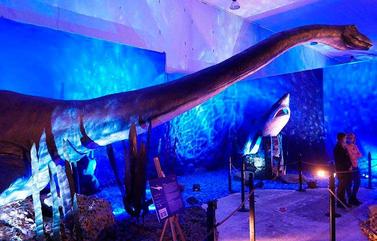 виставка «Динозаври морських глибин» фото