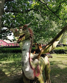 Выставка живые драконы и волшебные деревья дракон