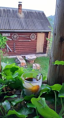 «Ясна садиба» Карпаты чай